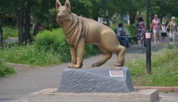 Берегите друзей: в Братске установили памятник в память о потерянных питомцах