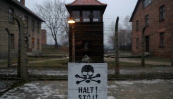 Венгерские туристы воровали кирпичи в концлагере и попались