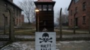 Венгерские туристы воровали кирпичи в концлагере и попались