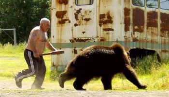Медведь напал на японца, мужчина ударил зверя в нос и тот убежал